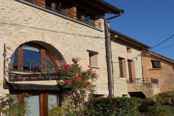 Le Verger sous les Vignes (Villeferry)
